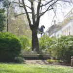 116 pall mall