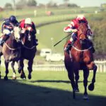 Brighton Racecourse Unusual venue