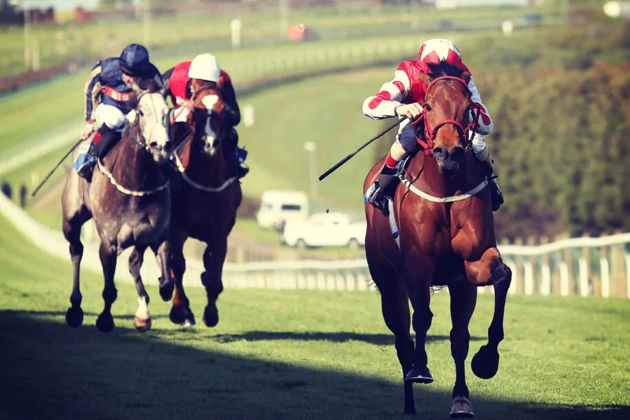 Brighton Racecourse Unusual venue