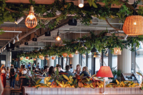 pergola on the wharf