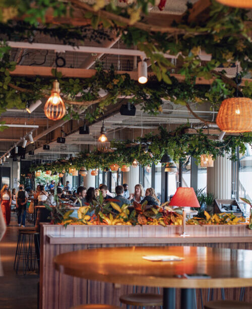 pergola on the wharf