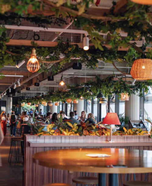 pergola on the wharf
