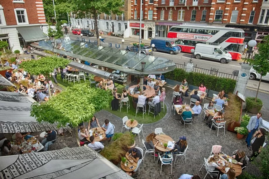 bluebird chelsea