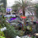 london summer parties