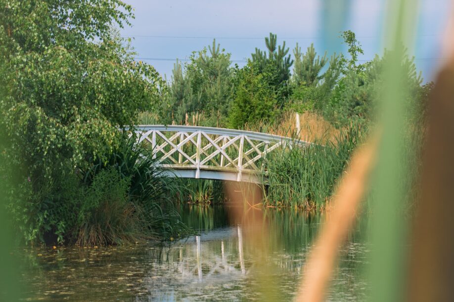 unique venue for corporate retreats and wellness