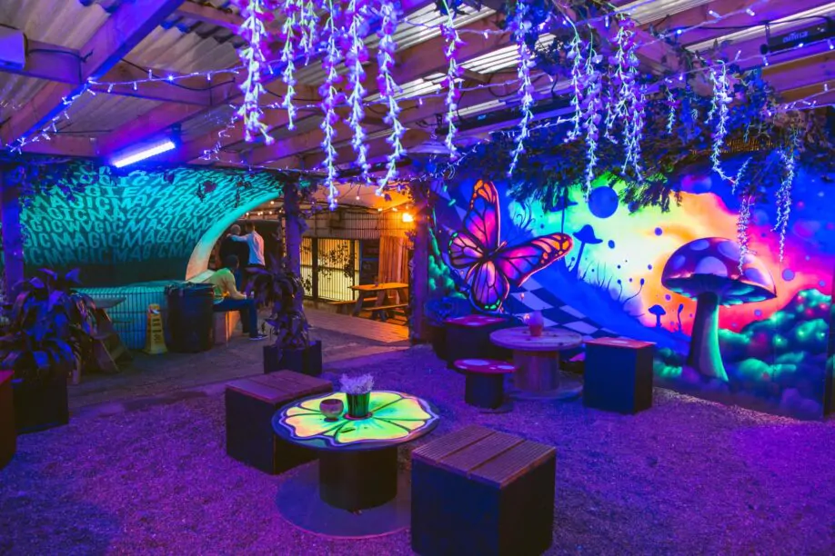 Magic Roundabout Christmas party