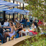Huckster sun terrace