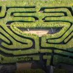 maze at hampton court