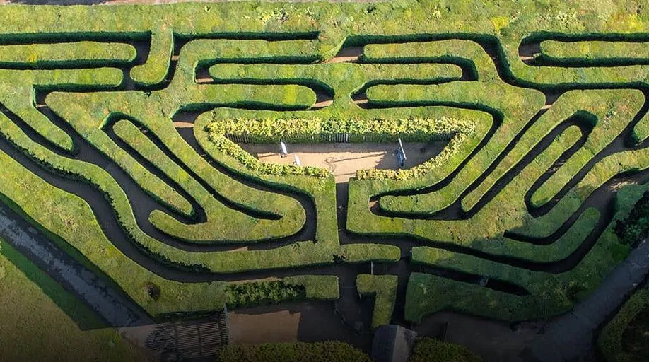 maze at hampton court