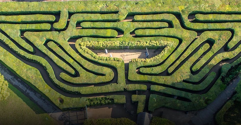 maze at hampton court