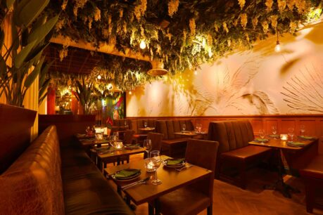 paro indian restaurant