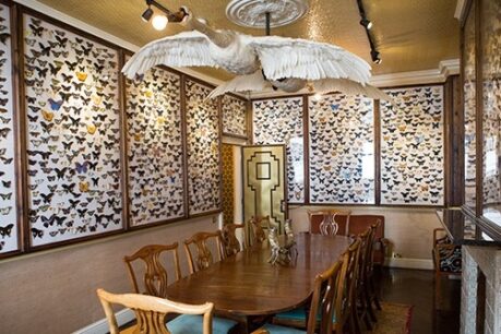 kings head party venue