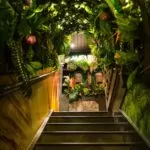 London summer party venue