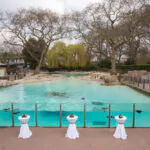 London zoo Penguin Beach