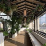 royal opera house piazza for drinks receptions