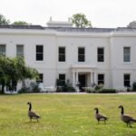 morden hall in south london hire for events