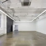 protein studios