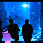 SEALIFe Aquarium London Events