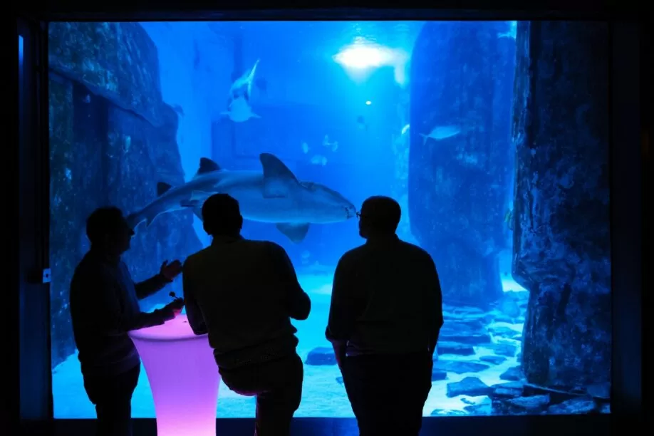 SEALIFe Aquarium London Events