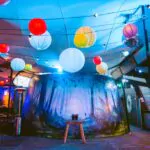 Magic Roundabout Summer Venue
