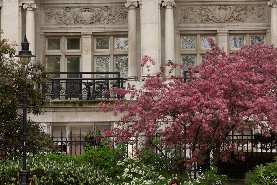 royal horseguards 5* hotel for conferences and events