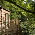 tree houses