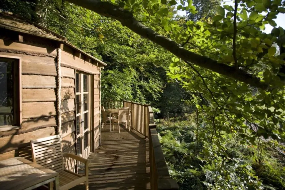 tree houses