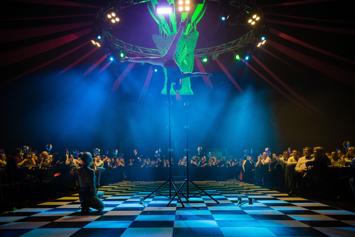 dream circus christmas party