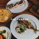 farrier camden