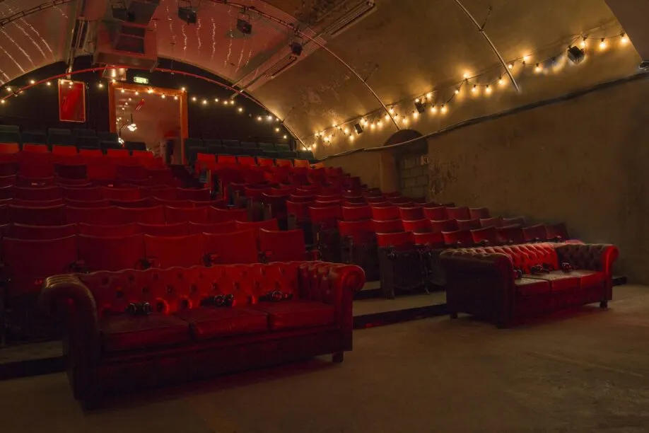 the vaults theatre screening room london